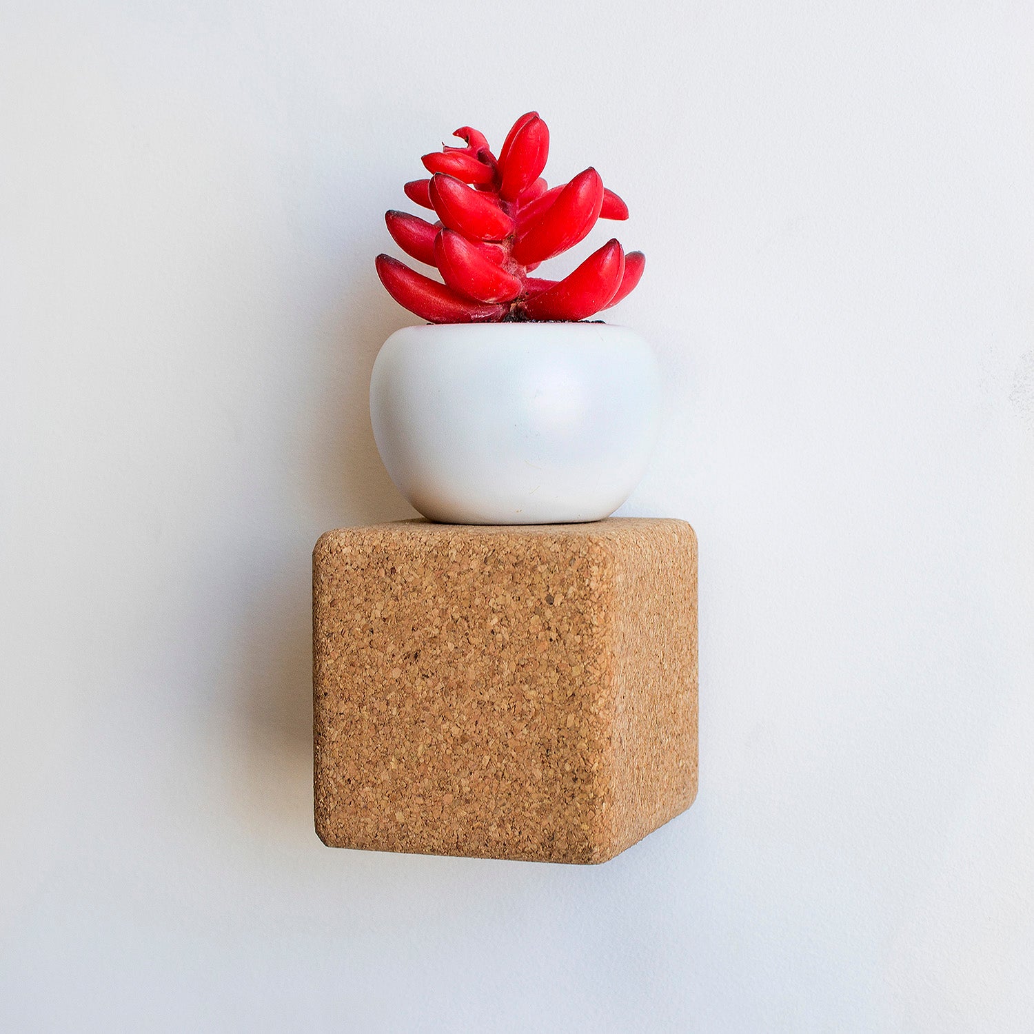 Pega Hook - light cork